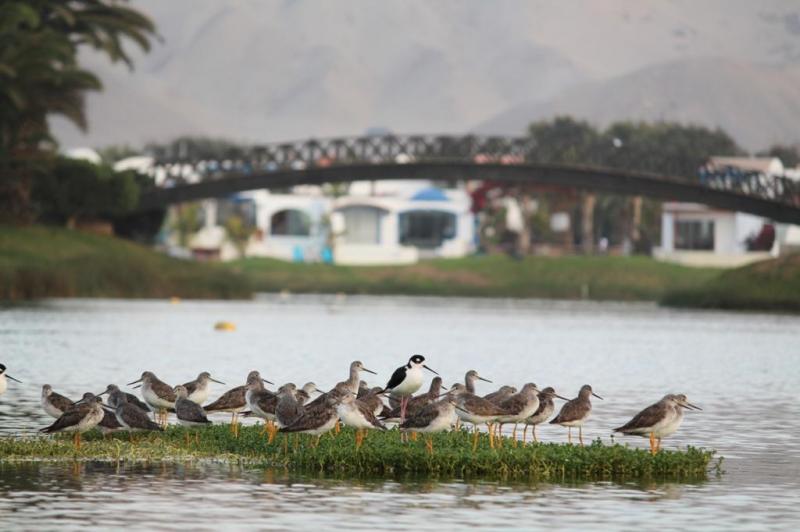 Lagunas de Puerto Viejo