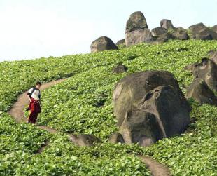 Imagen Lomas de Mangomarca