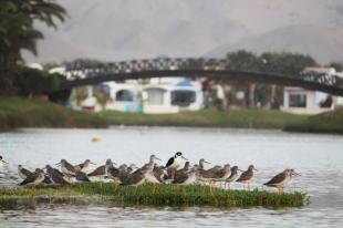 Lagunas de Puerto Viejo
